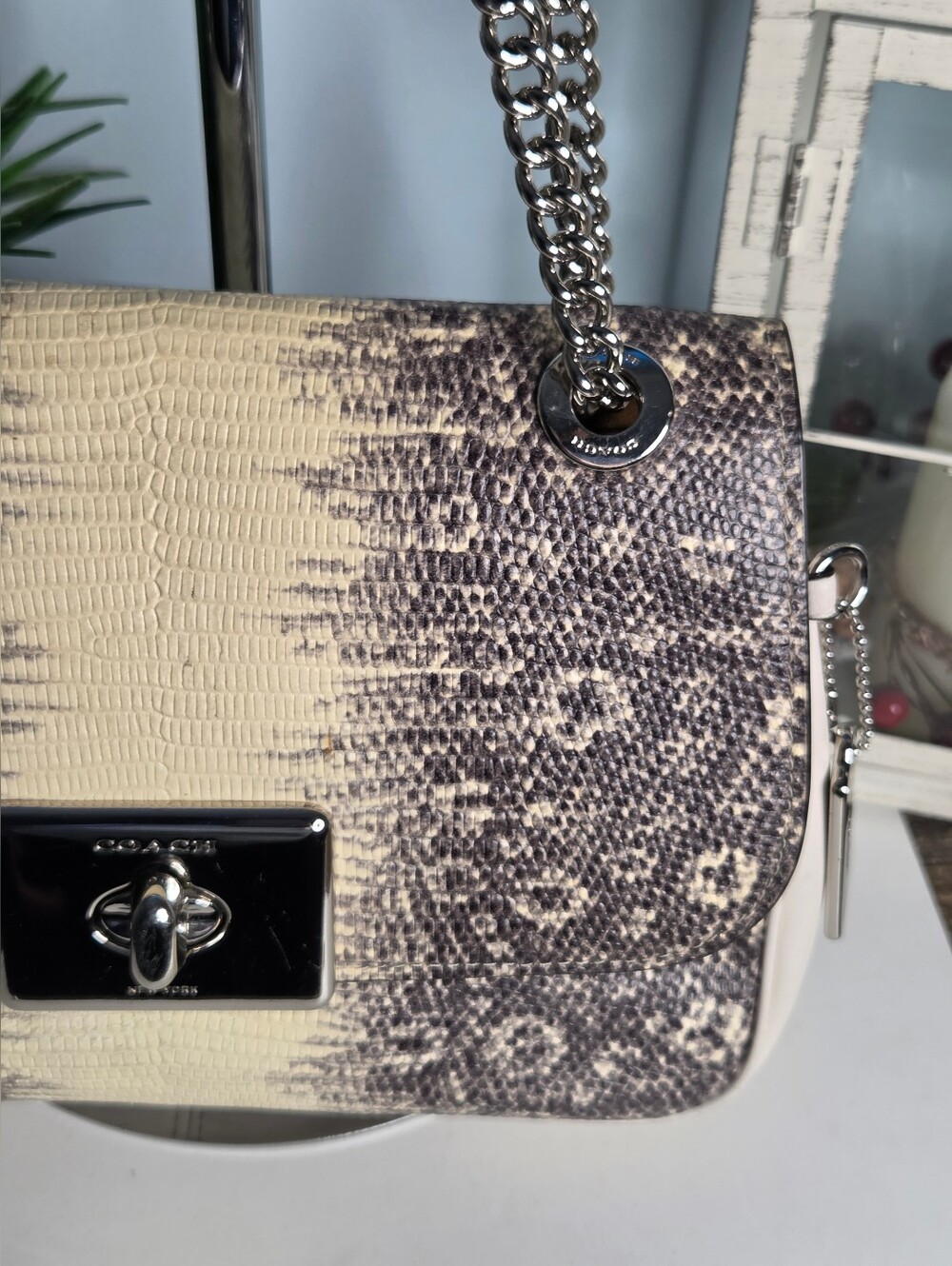 Coach Cassidy Lizard-Embossed Chain Convertible Bag - Off White/Gray Gradient - Picture 2 of 16
